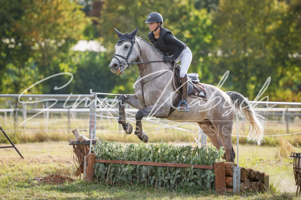 20250905-_3LI2299 | Tierfotografie Pferde, Hunde, Katzen, Haustiere.
Turnierfotografie Reitturniere, Reiten, Springreiten, Dressur in Hanau, dem Main-Kinzig-Kreis und dem Rhein-Main- Gebiet um Frankfurt