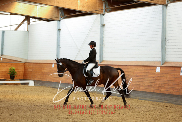 _62_6781 | Turniersportfotografie; Pferdefotografie; Dressurfotografie