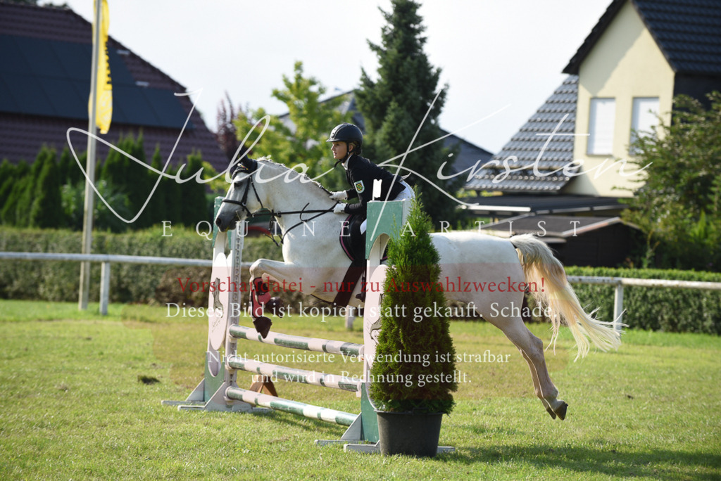 DSC_8642 | Pferde- und Turnierfotografie in Westsachsen. Pferdeportraits, Auftragszeichnungen und intuitive Kunst.