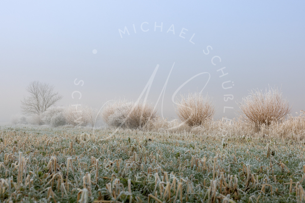 2025-01-21 Hemmingen Reet Seedamm 018 | Schwotte Media - Realisiert mit Pictrs.com