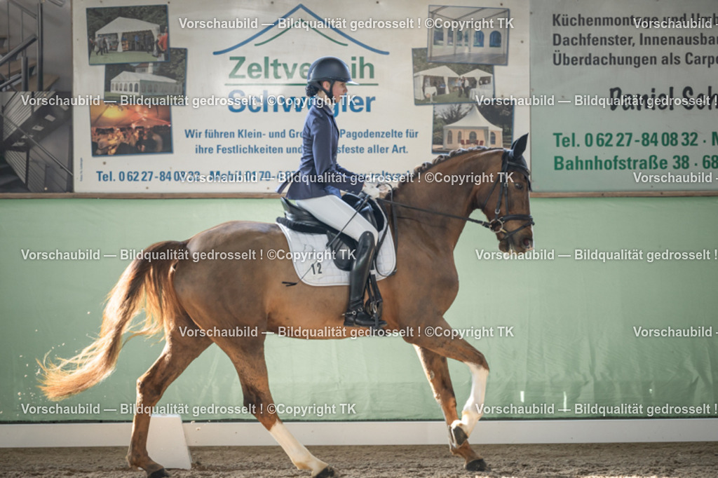 _D5A0621 | Emotionale Pferde- & People-Fotografie rund um Heidelberg, Leimen & Umgebung. Natürliche Fotos von Pferd, Mensch & Familie. Jetzt Termin sichern!