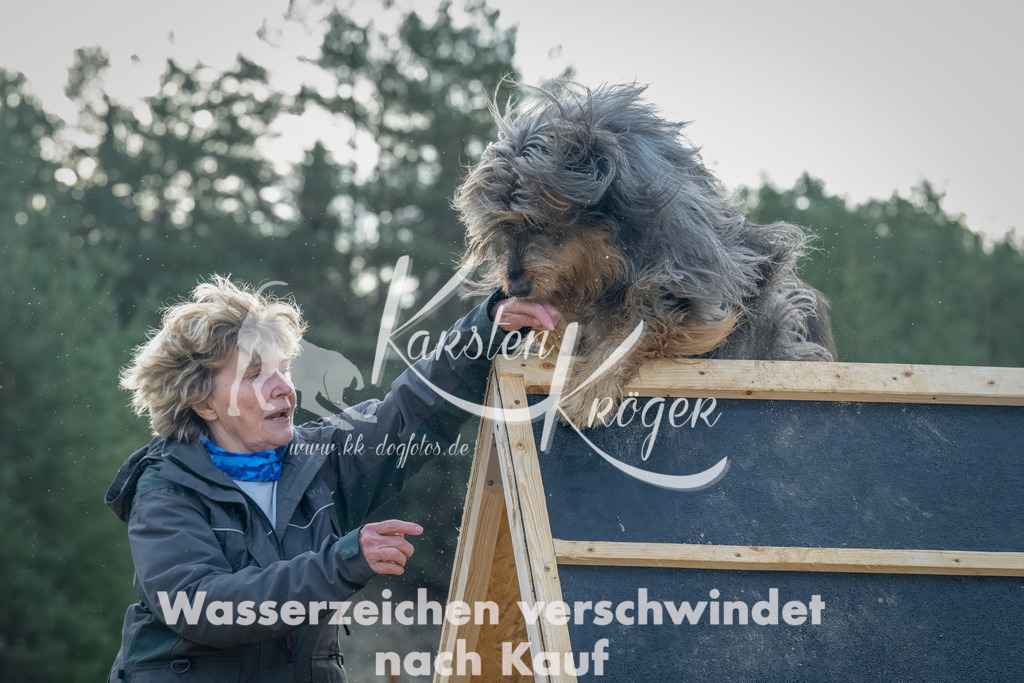 0908_ZZ91863-Bearbeitet | kk-dogfotos