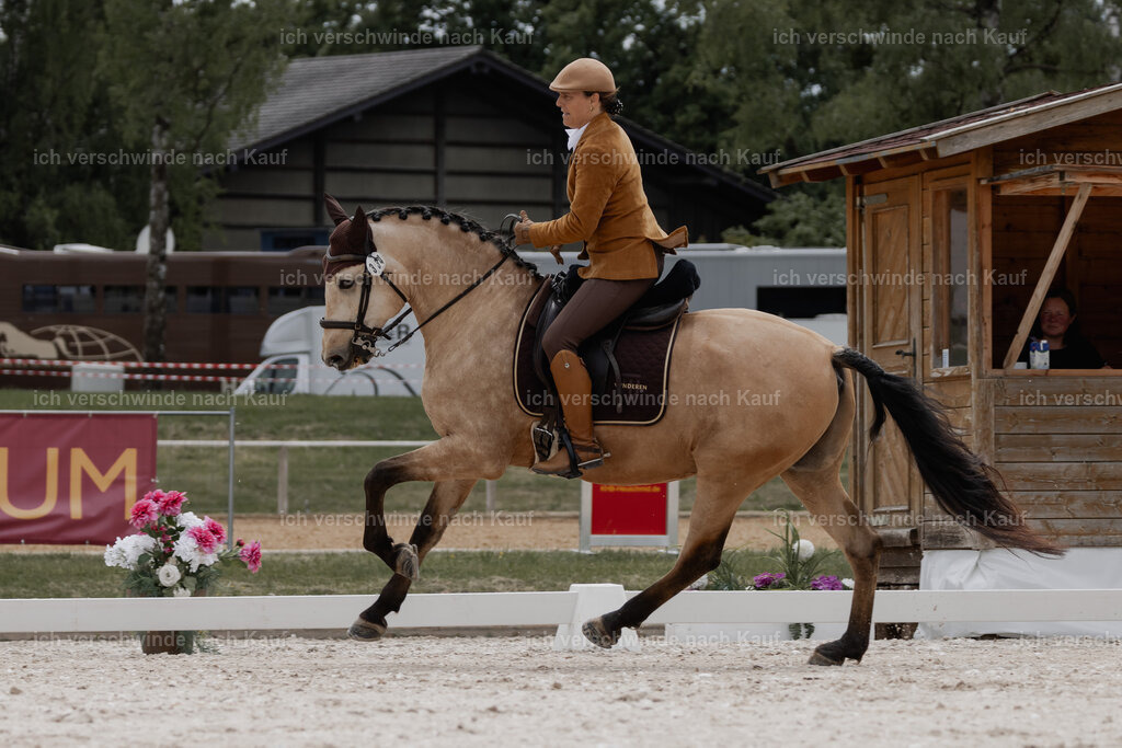 WE_DR_Stoib_334_PI2025_381 | Pferd International München 2025
