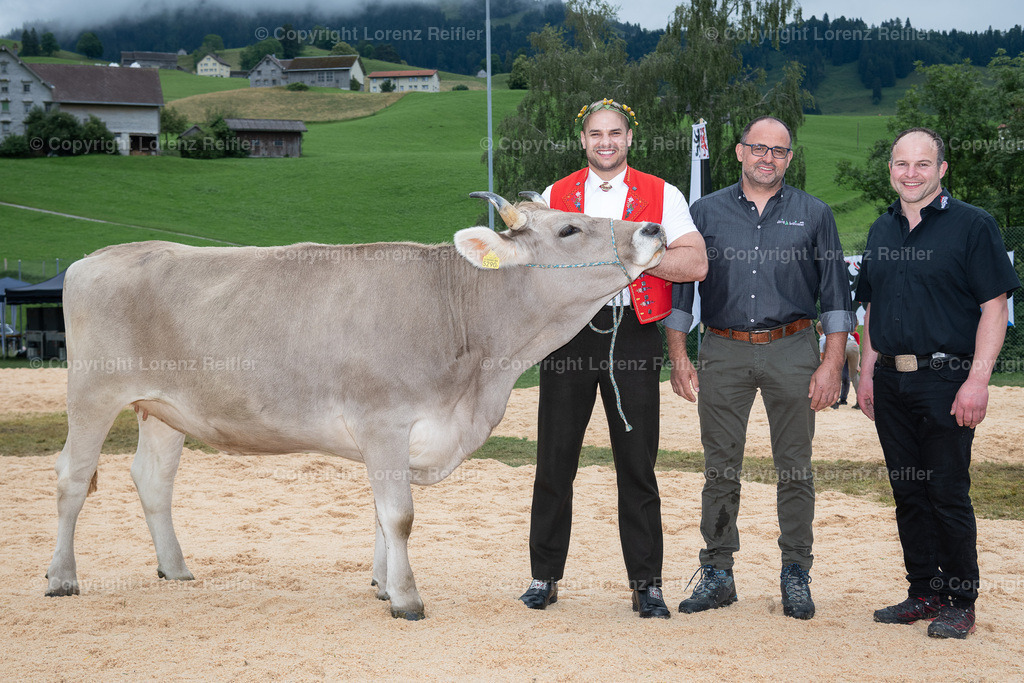 Schwingen -  Appenzeller Kantonal Schwingfest 2024 | Hundwil, 7.7.24, Schwingen - Appenzeller Kantonal Schwingfest.