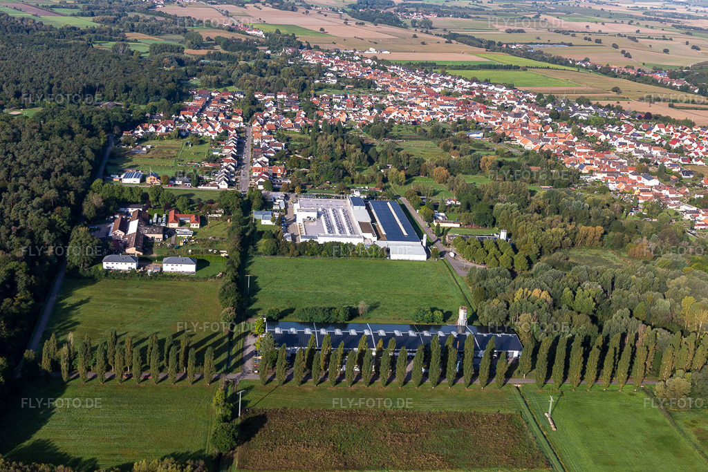 Luftbild: Webasto Mechatronics im Ortsteil Schaidt in Wörth im Bundesland Rheinland-Pfalz in Deutschland. Foto: IMG_129740.jpg vom 30.09.2021 durch Werner Riehm/FLY-FOTO.de