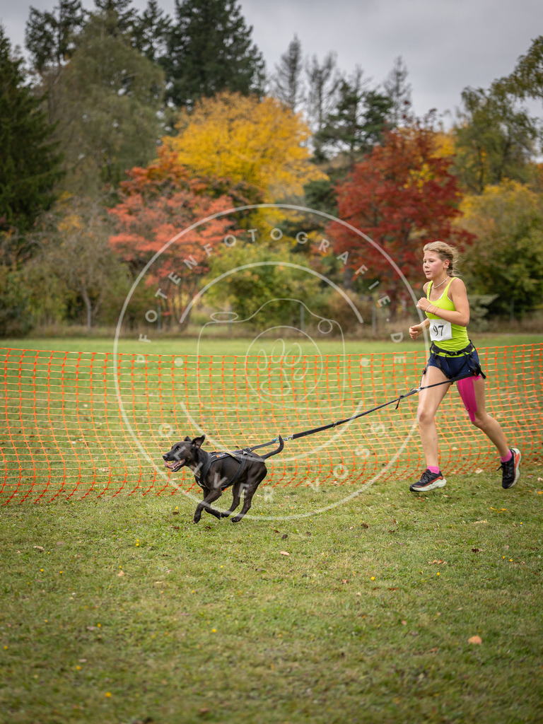 Pfotenfotografie_DV3A3402 | Hundefotografie, Tierfotograf, Pfotenfotografie, Fotoshooting Hund, Hunde Portrait, Hundesport, Hundeportraits, Heideshooting, Hunde, Sportfotograf, Hundefotograf, Turnierhundsport, THS,  - Realisiert mit Pictrs.com