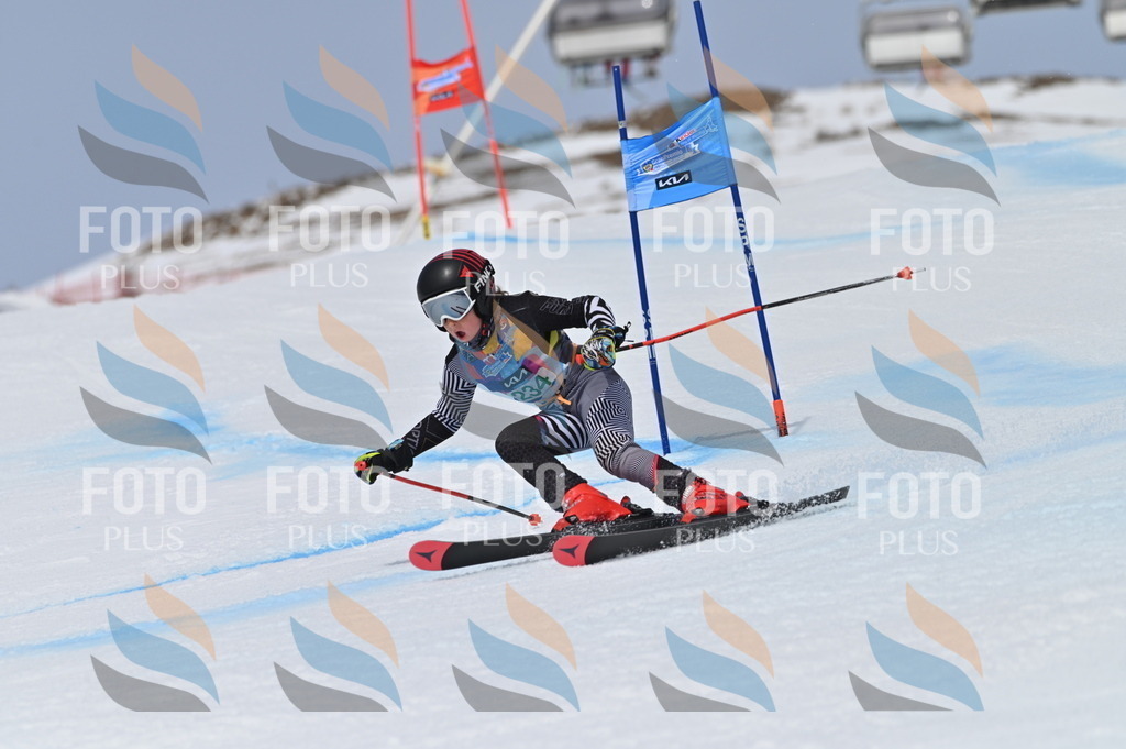 BGV_4645 | holidayphoto