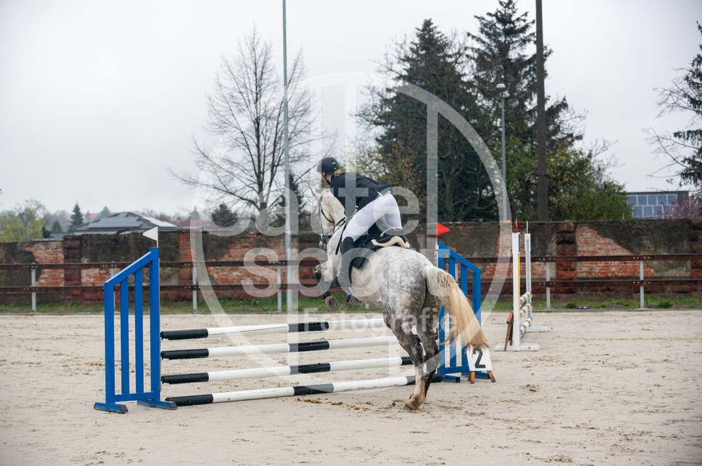 DSC_8325 | sattelsport - Realisiert mit Pictrs.com