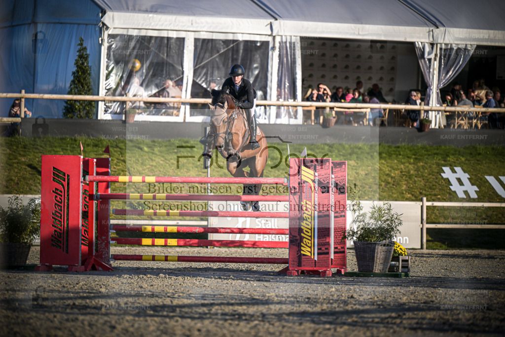 DOS_2669 | Entdecke hochwertige Reitturnierfotos von Foto Oger. Professionell, emotional und authentisch – jetzt Lieblingsmomente im Shop bestellen. - Realisiert mit Pictrs.com