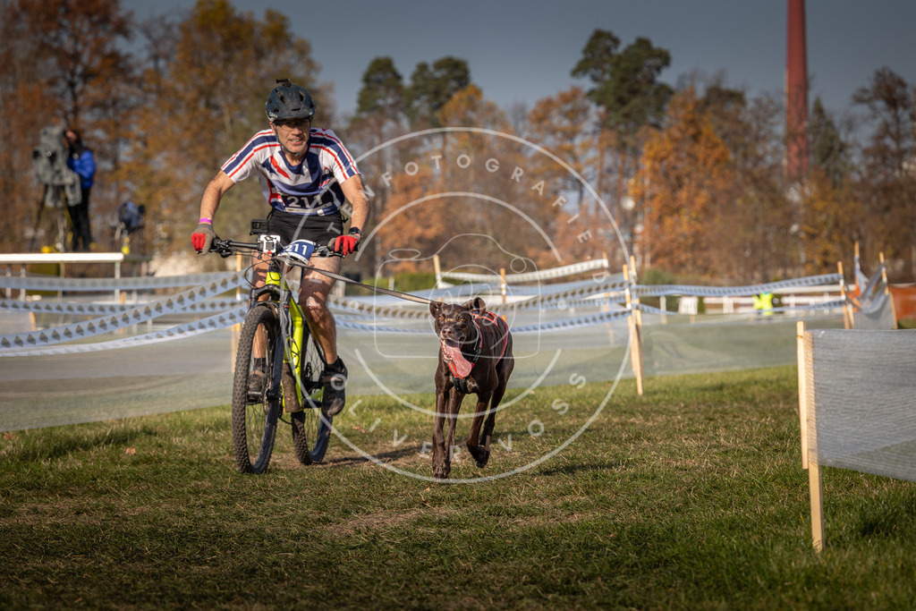 CaniXpix_0L8A7180 | Hundefotografie, Tierfotograf, Pfotenfotografie, Fotoshooting Hund, Hunde Portrait, Hundesport, Hundeportraits, Heideshooting, Hunde, Sportfotograf, Hundefotograf, Turnierhundsport, THS,  - Realisiert mit Pictrs.com