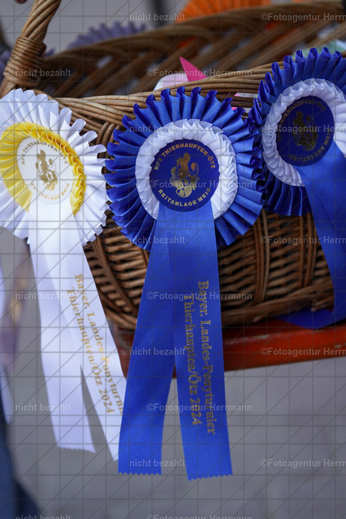 20240823-FAH06783 | Bayerisches Landesponyturnier 2024, Tierhaupten, Turnierbilder, Foto Turnier, Fotoagentur Herrmann, Turnierfotografen Bayern