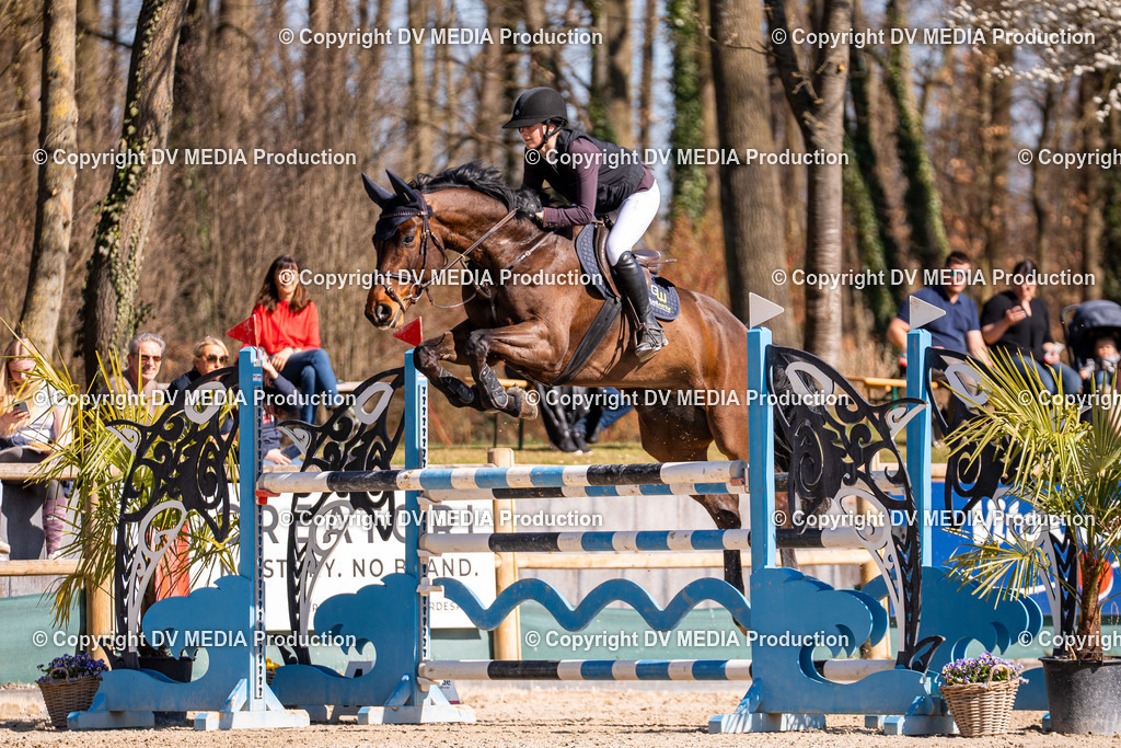 Kranichstein Tag 2-766 | dv-media-shop - Realisiert mit Pictrs.com