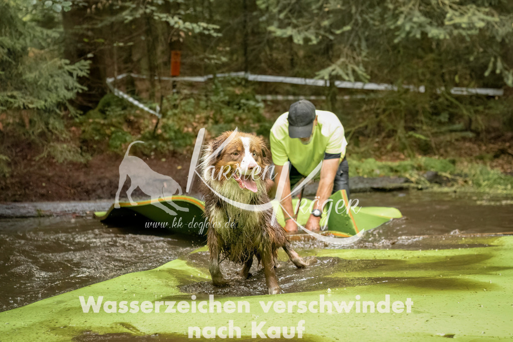 1231_ZZ90052-Bearbeitet | kk-dogfotos