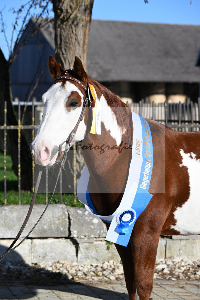 Kat-Nr. 10 ARH Like One Marvel v. One Gun_Reicherzer_49250534 | hf-fotografie - Realisiert mit Pictrs.com