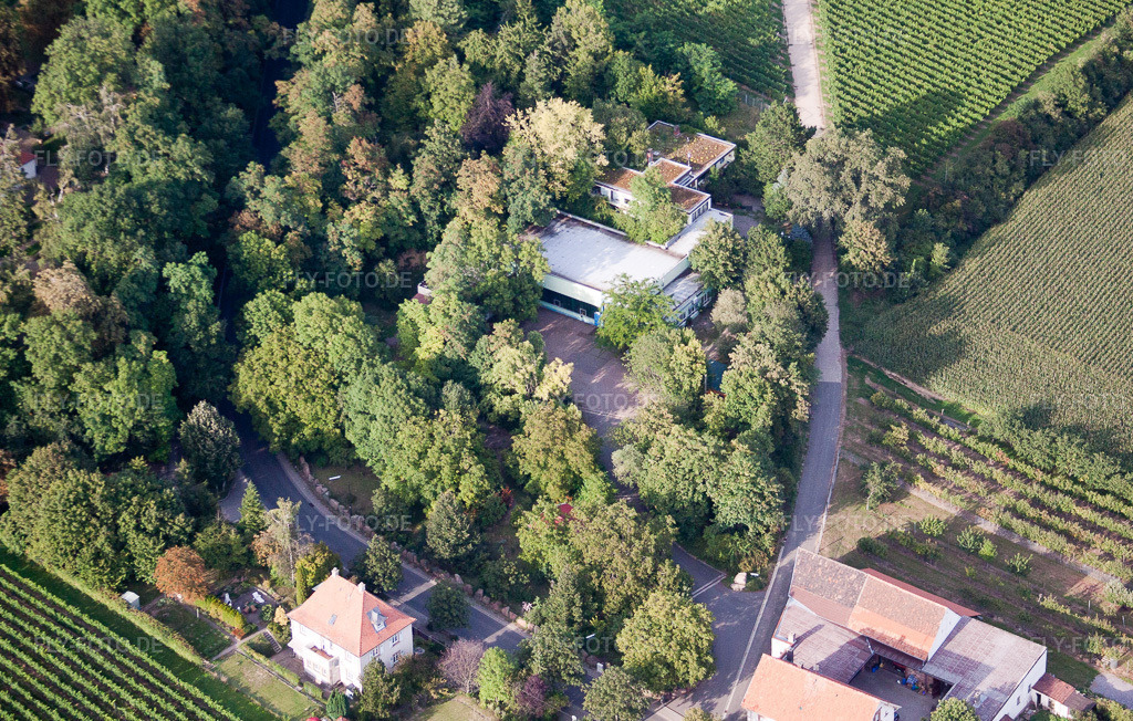 Luftbild: Firmengelände der SEKA Schutzbelüftung GmbH mit Hallen, Firmengebäuden und Produktionsstätten im Ortsteil Wollmesheim in Landau im Bundesland Rheinland-Pfalz in Deutschland. Foto: IMG_44151.jpg vom 17.08.2011 durch Werner Riehm/FLY-FOTO.deWWW.SCHUTZBELUEFTUNG.DE