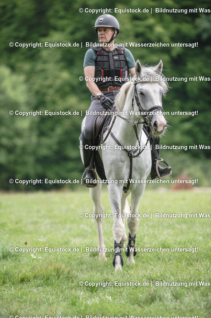 20250726_Vielseitigkeitslehrgang-Marbach_0572 | Foto: Thomas Hartig