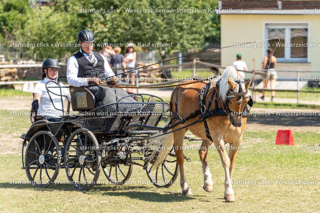 2026-08-09_12-25-54_WBO_Pulsnitz | sternberg.click - Realisiert mit Pictrs.com