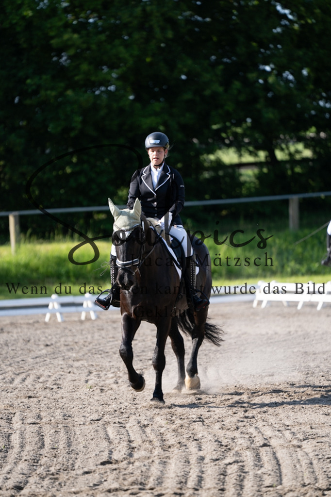 A7V02255 | Pferdefotograf