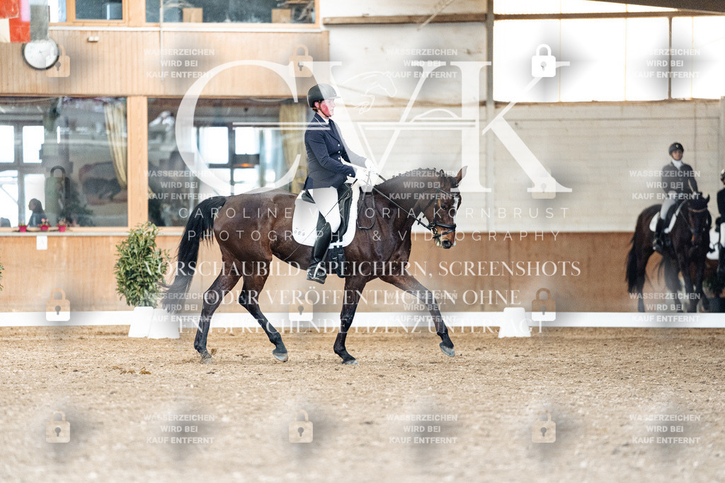 CK901426 | Turnierfotografie Pferdefotografie Trier Rheinland-Pfalz Pferdesport Reitsport Tierfotografie Sportfotografie Pferdevideo Pferdevideografie Equestrianvideography equestrianphotography  - Realisiert mit Pictrs.com