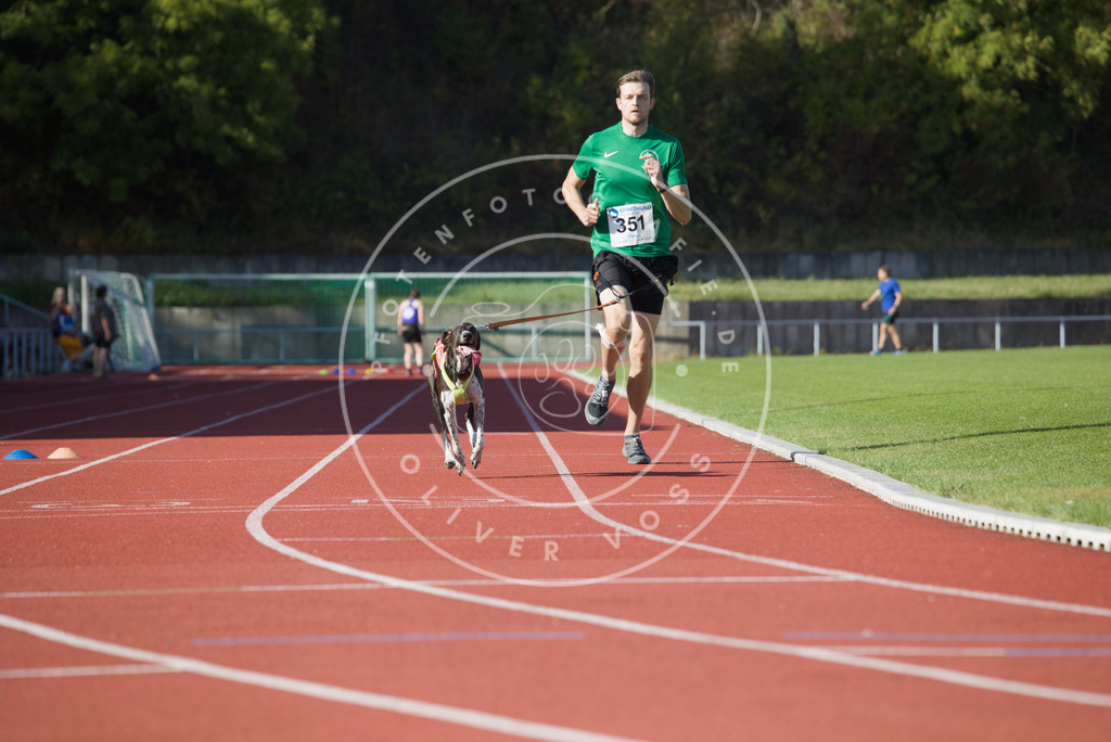 0L8A9770 | Hundefotografie, Tierfotograf, Pfotenfotografie, Fotoshooting Hund, Hunde Portrait, Hundesport, Hundeportraits, Heideshooting, Hunde, Sportfotograf, Hundefotograf, Turnierhundsport, THS,  - Realisiert mit Pictrs.com