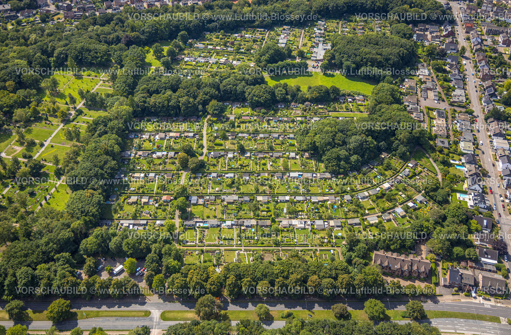 Bottrop250802350 | Luftbild, KGV Nappenfeld e.V. Kleingartenverein, Lauben mit Garten, Fuhlenbrock, Bottrop, Ruhrgebiet, Nordrhein-Westfalen, Deutschland