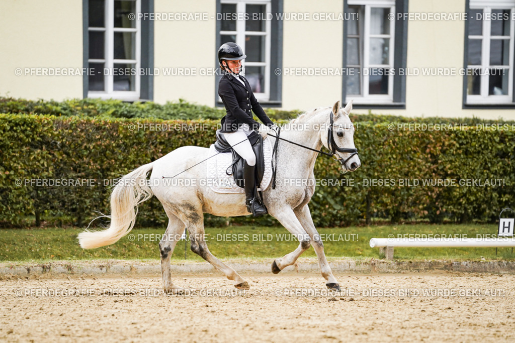 DSC07741 | Pferdegrafie