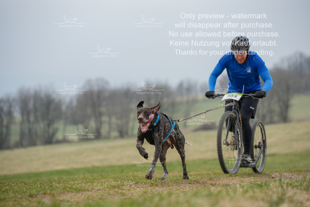 ScooterSA-16 | stephaniefillaphotographie - Realisiert mit Pictrs.com