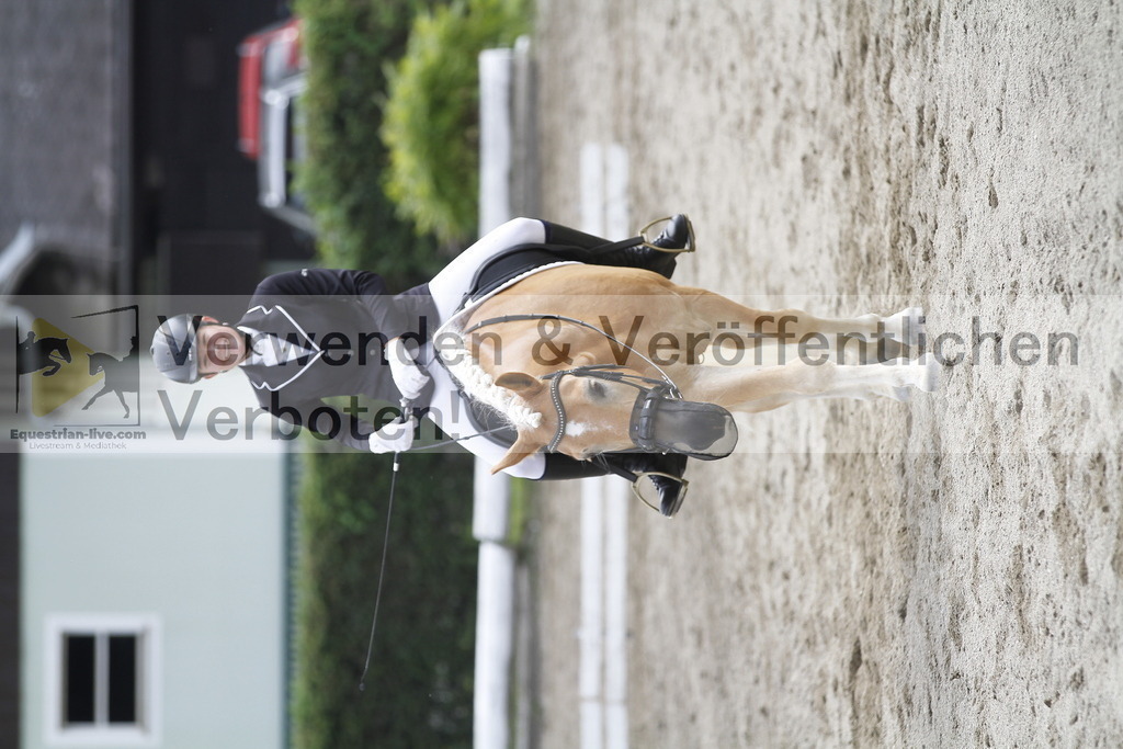 _MG_1051 | equestrian-live-com