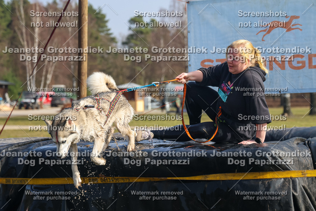 Dog Paparazzi - Strongdog North Mrz26-1814 | Dog Paparazzi Jeanette Grottendiek Fotografie & Videografie - Realisiert mit Pictrs.com