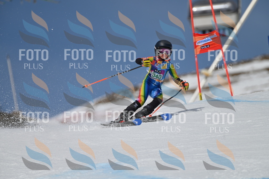 BGV_6744 | holidayphoto