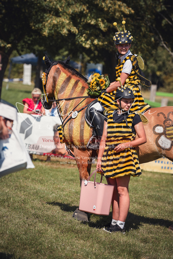 DSC_0449 | Pferde- und Turnierfotografie in Westsachsen. Pferdeportraits, Auftragszeichnungen und intuitive Kunst.