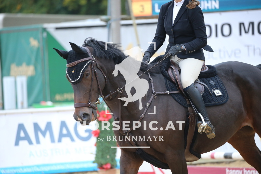 DL2Q1071 | Willkommen bei Brunnmayr - Design & Fotografie – Ihrem Spezialisten für Reitturniere und Pferdeveranstaltungen in Oberösterreich, Salzburg und Bayern! Seit über 17 Jahren sind wir leidenschaftlich dabei.