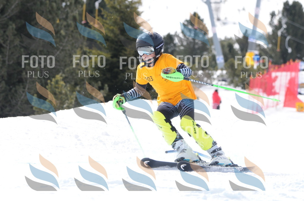 C7538 | holidayphoto