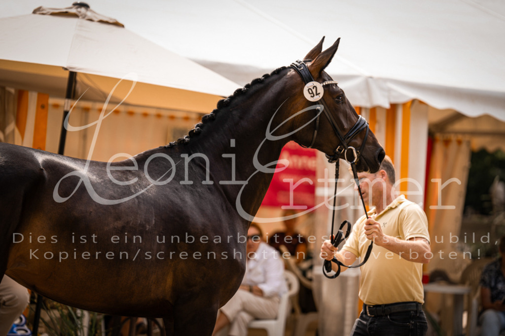 6.Fr00018 | Leoni Ertmer Photography - Realisiert mit Pictrs.com