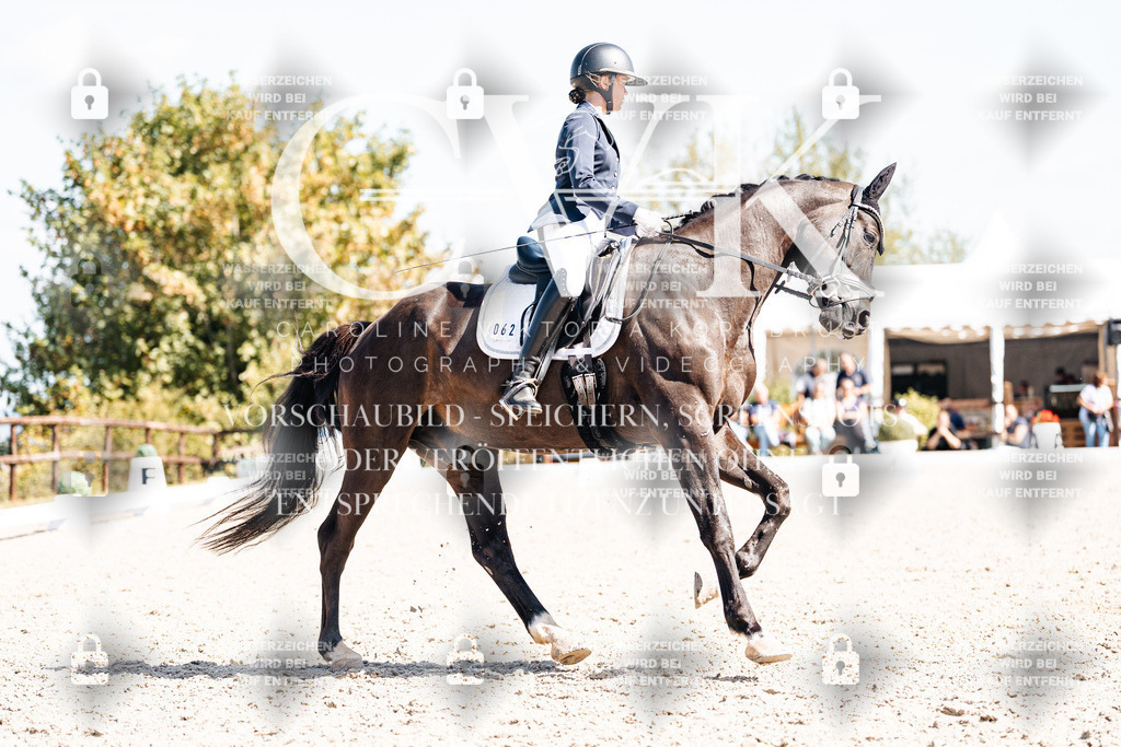 CK903433 | Turnierfotografie Pferdefotografie Trier Rheinland-Pfalz Pferdesport Reitsport Tierfotografie Sportfotografie Pferdevideo Pferdevideografie Equestrianvideography equestrianphotography  - Realisiert mit Pictrs.com