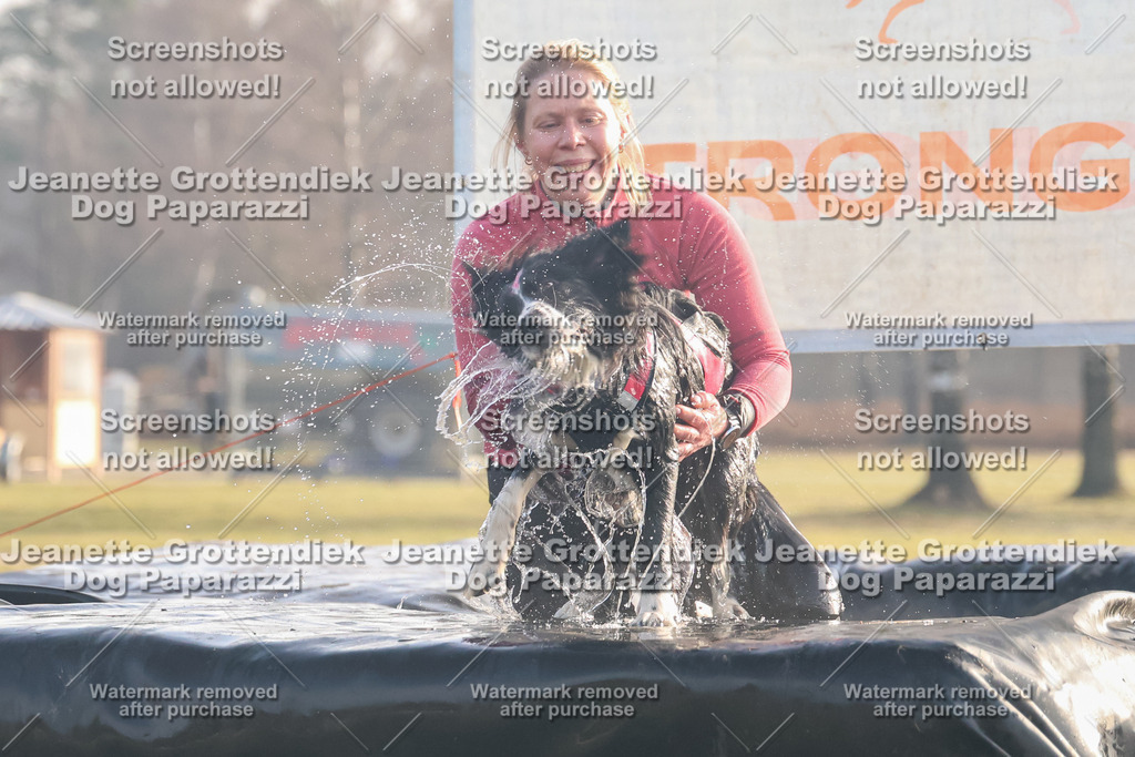 Dog Paparazzi - SD North 0326 900930-43 | Dog Paparazzi Jeanette Grottendiek Fotografie & Videografie - Realisiert mit Pictrs.com