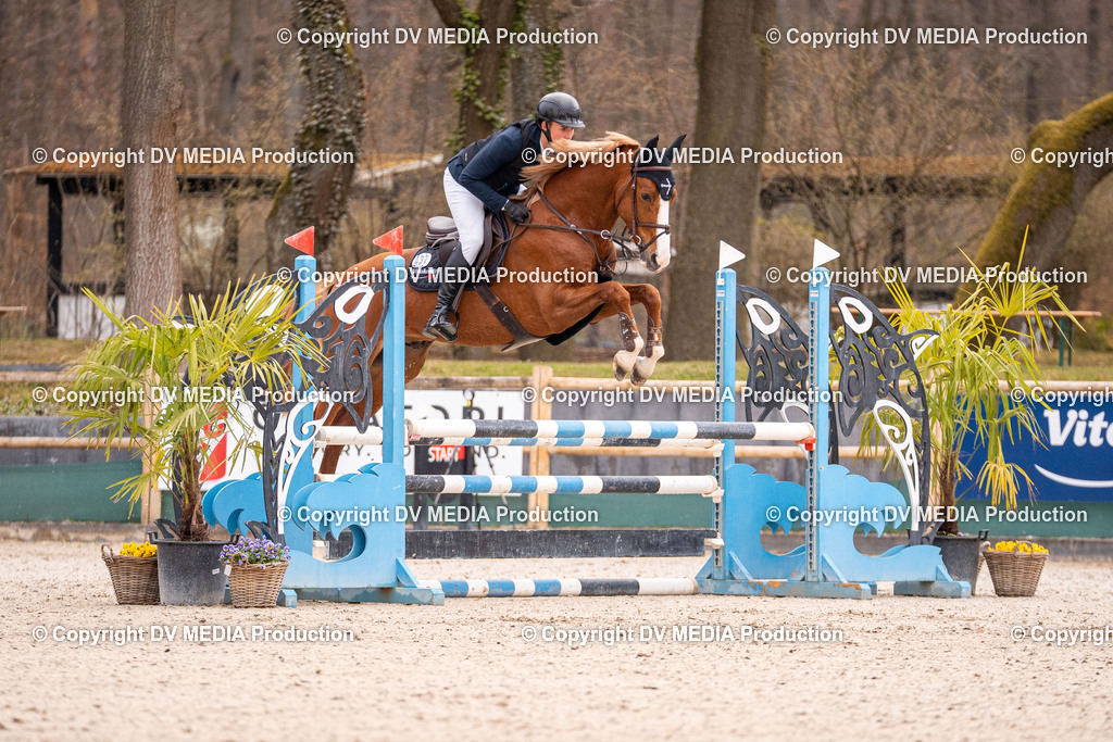 Kranichstein Tag 2-1216 | dv-media-shop - Realisiert mit Pictrs.com