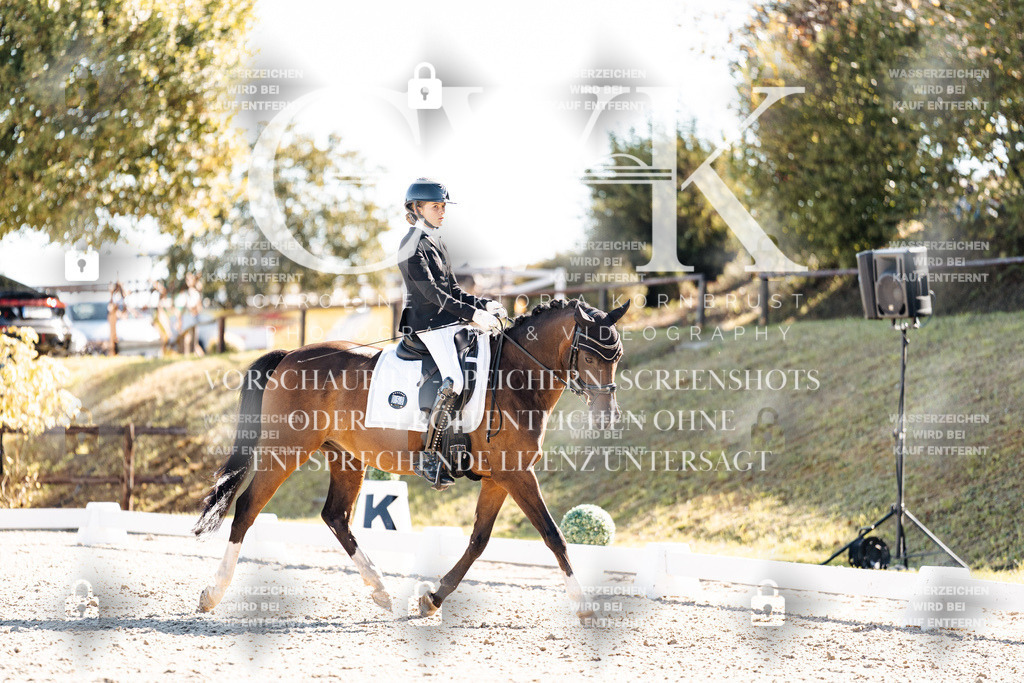 CK908545 | Turnierfotografie Pferdefotografie Trier Rheinland-Pfalz Pferdesport Reitsport Tierfotografie Sportfotografie Pferdevideo Pferdevideografie Equestrianvideography equestrianphotography  - Realisiert mit Pictrs.com