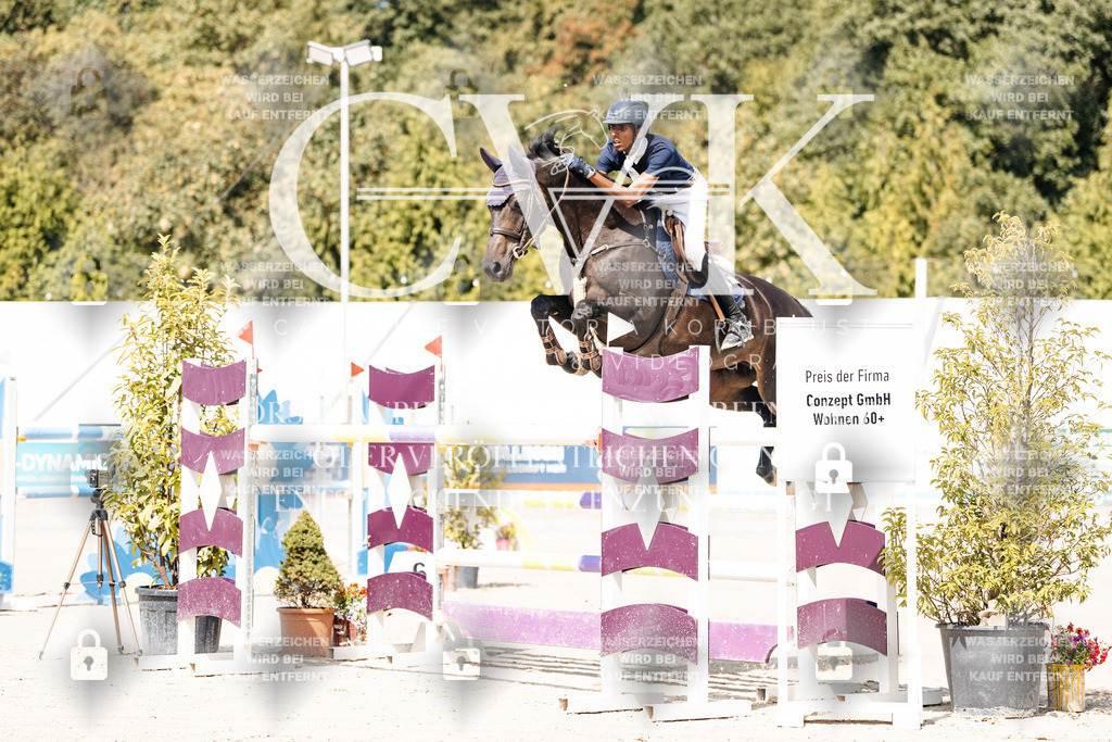 CK904748 | Turnierfotografie Pferdefotografie Trier Rheinland-Pfalz Pferdesport Reitsport Tierfotografie Sportfotografie Pferdevideo Pferdevideografie Equestrianvideography equestrianphotography  - Realisiert mit Pictrs.com