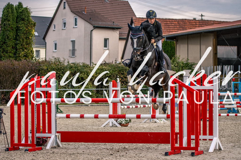 IMG_5960 | Erleben Sie dynamische Sport- und emotionale Tierfotografie in Süddeutschland mit Fotos von Paula. Spezialisiert auf Pferde- und Hundefotografie sowie Sportevents. Kontaktieren Sie mich für einzigartige und ausdrucksstarke Bilder Ihrer besonderen Momente.