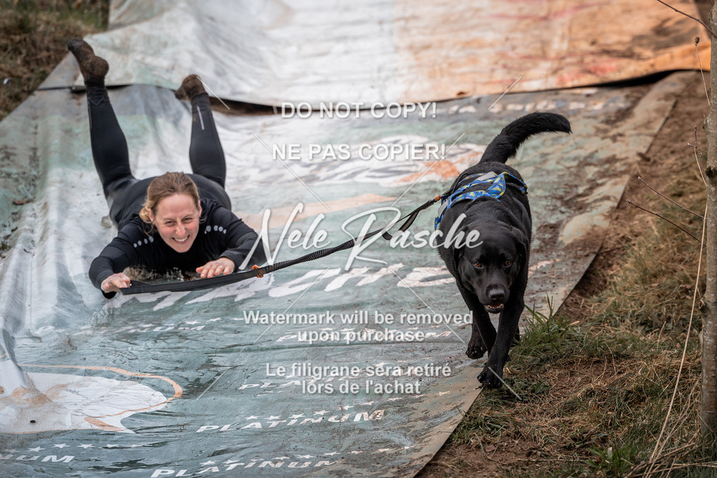 nelerasche_1330-1400_245 | nelerasche