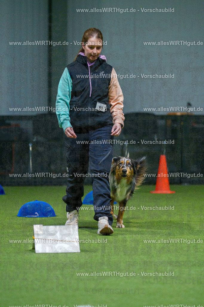 7R507668 | Professionelle Tierfotografie in Mönchengladbach von Daniel Wirth (allesWIRTHgut). Liebevolle & natürliche Bilder von Hunden & Katzen für unvergessliche Erinnerungen.