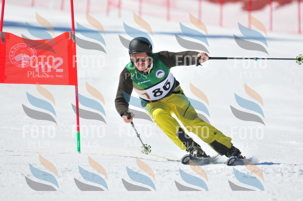 C4340 | holidayphoto