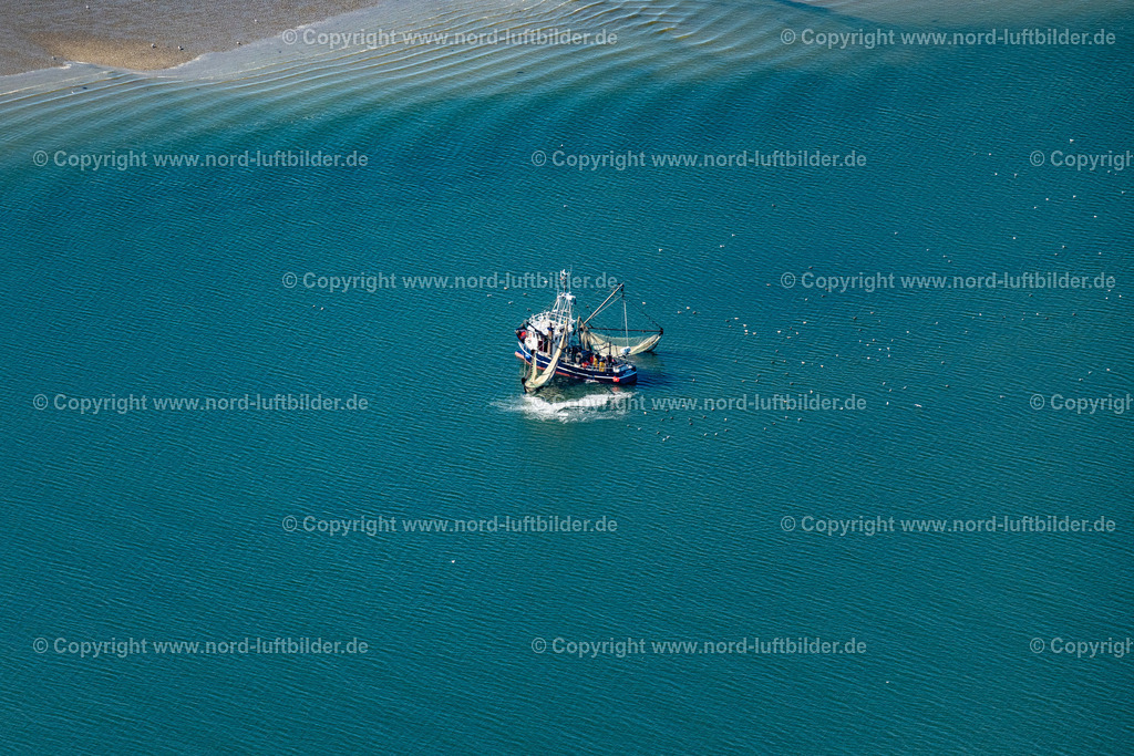 Norderney_Krabbenkutter_Acc_2_Emma_ELS_6435050923 | NORDERNEY 05.09.2023 Krabbenkutter in Fahrt " ACC 2 Emma " in den Prilen vor Norderney im Bundesland Niedersachsen, Deutschland. // Shrimp cutter in motion "ACC 2 Emma" in the Prilen off Norderney in the state of Lower Saxony, Germany. Foto: Martin Elsen