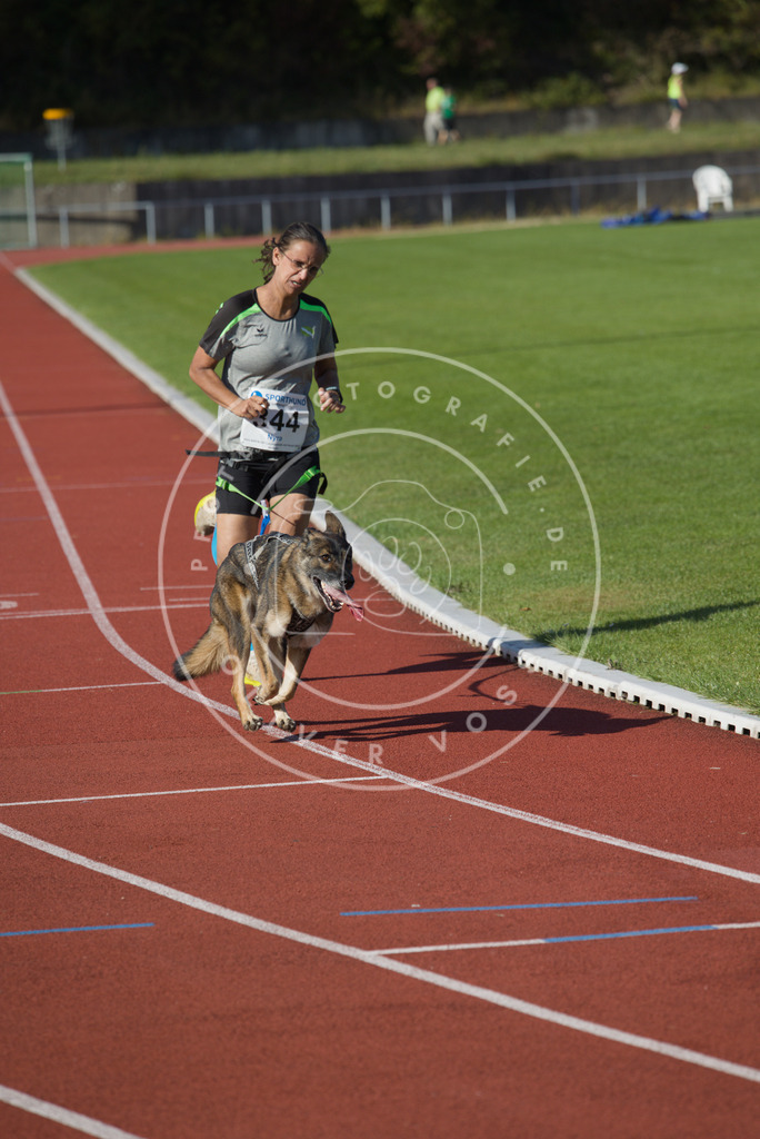0L8A9163 | Hundefotografie, Tierfotograf, Pfotenfotografie, Fotoshooting Hund, Hunde Portrait, Hundesport, Hundeportraits, Heideshooting, Hunde, Sportfotograf, Hundefotograf, Turnierhundsport, THS,  - Realisiert mit Pictrs.com