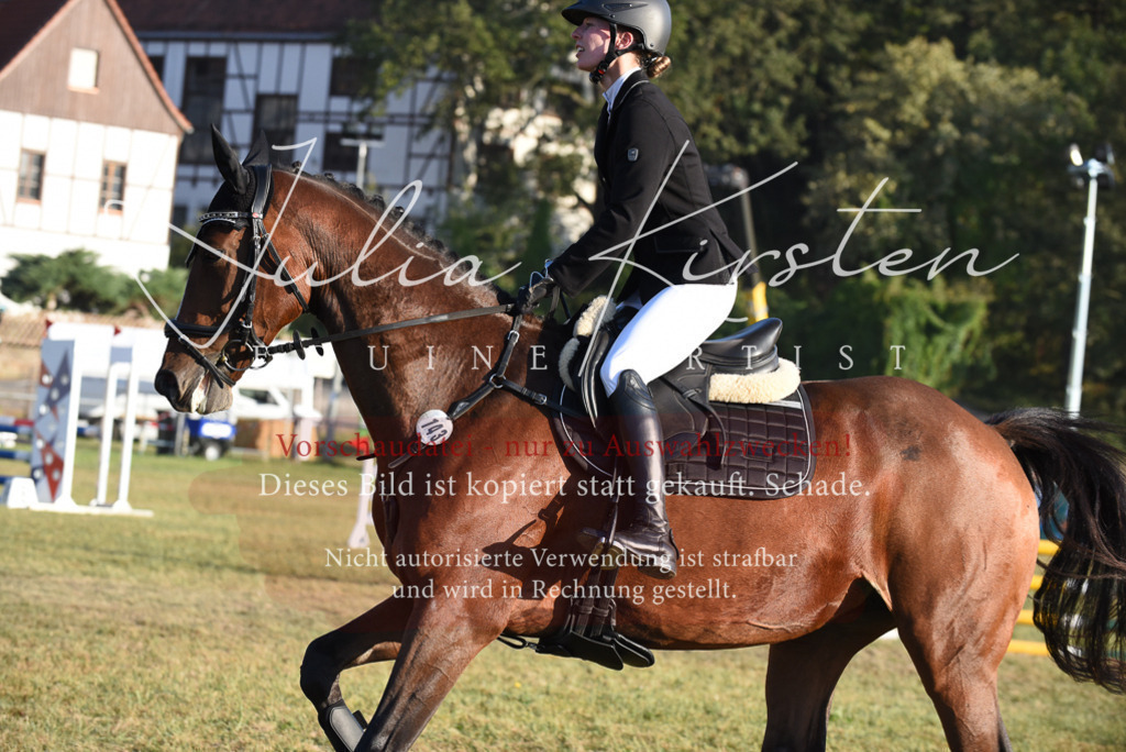 DSC_4847 | Pferde- und Turnierfotografie in Westsachsen. Pferdeportraits, Auftragszeichnungen und intuitive Kunst.