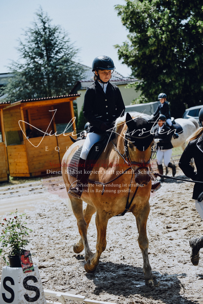 DSC_2257 | Pferde- und Turnierfotografie in Westsachsen. Pferdeportraits, Auftragszeichnungen und intuitive Kunst.