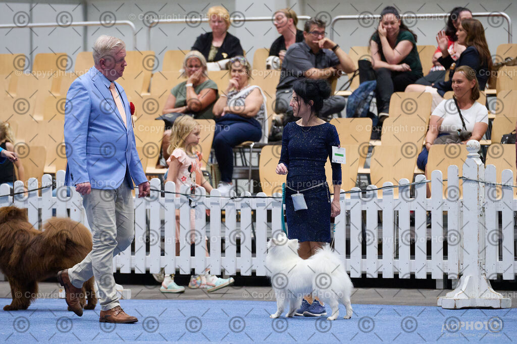 202406_ÖKV-IHA-Tulln24_DSC_3025 | proPHOTO - Realisiert mit Pictrs.com