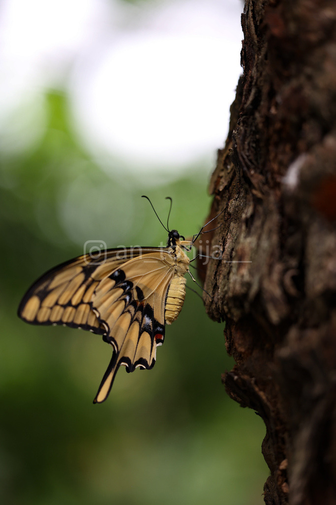 JB3A1207 | antonija-trupina - Realisiert mit Pictrs.com