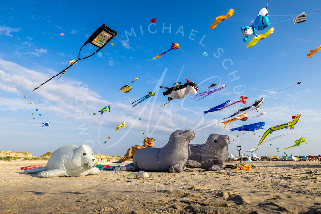 2025-08-09 SPO Drachenfest 104 | Schwotte Media - Realisiert mit Pictrs.com